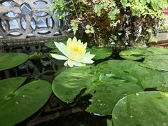 -海窝子古镇