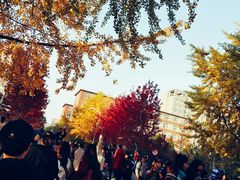 -辽宁大学(崇山校区)