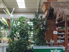 -南宫五洲植物乐园