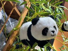 -轩客会(熊猫书店)