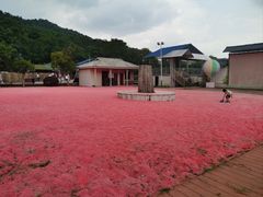 -石燕湖生态旅游景区