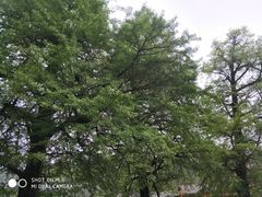 -永州阳明山国家森林公园