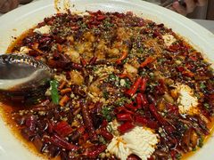 水煮豆花鱼(江团)-川味堂·四川豆花(八卦岭店)
