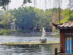 -荔湾湖公园