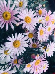 -张仕婚礼·做有温度的婚礼