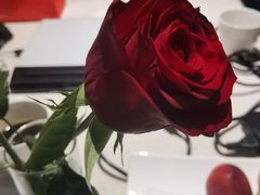 -南京金陵饭店