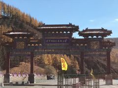 -塞罕坝国家级自然保护区