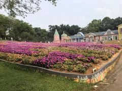 -松山湖梦幻百花洲