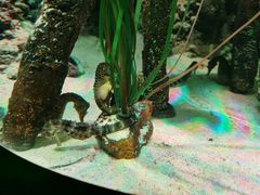 -沈阳海洋探索中心