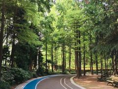 -苏州河梦清园环保主题公园