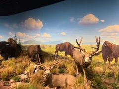 -陕西自然博物馆