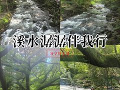 -广州市石门国家森林公园