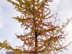 -镇江润扬大桥酒店