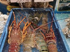 -蚝得喜海鲜(东城店)