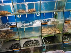 水产区-胖大嫂渔家排档(半边山店)