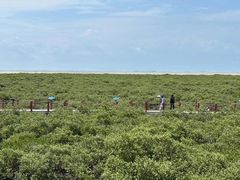 -北海金海湾红树林生态旅游区