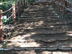 -汉拿树木园