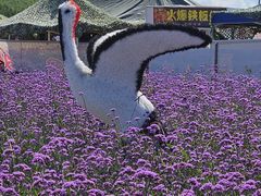 -草原天路(张北县)