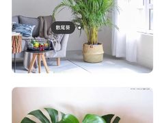 -京东家装(昆明总店)