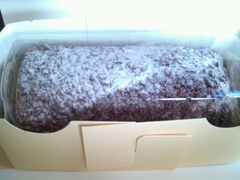 -凯司令西饼店(东建路店)