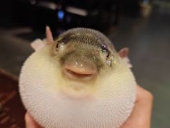 -永安鱼庄·镇江菜(东吴路店)