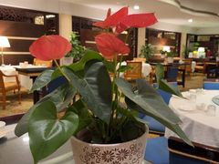 -杭州香格里拉·香宫中餐厅