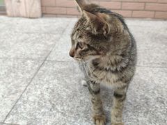 -东风公园