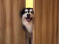 -白兔子密室(长寿路店)