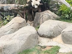 -香港海洋公园