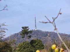 -开福禅寺