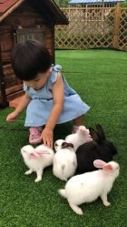 -萌宠亲子动物乐园(槐房万达店)