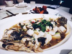 -东国海鲜火锅城(氹仔店)
