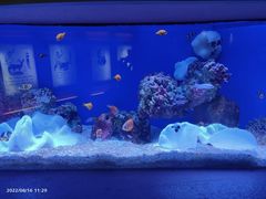 -上海海洋水族馆