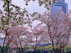 -西北湖绿化广场