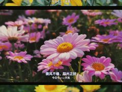 -狐尾山公园