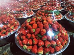 -菜园坝水果市场