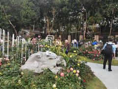 -人民公园(罗湖区)