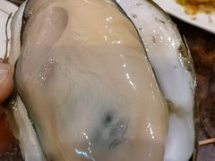 -土蚝·高压锅生蚝(百姓美食街店)