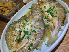 油泼黄花鱼-吕氏疙瘩汤·新鲁菜(新贵和店)
