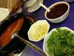 -乳仔牛牦牛汤锅 烤羊排(松潘古城店)