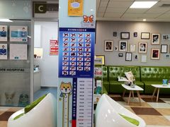 -奈斯宠物医院·核磁CT·异宠专科·内镜(中南店)
