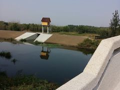 -东郊湿地公园