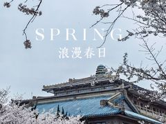 -武汉大学-樱园