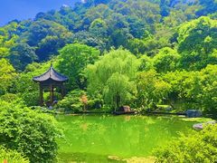 -云溪植物园