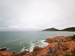 -广东惠东海龟国家级自然保护区