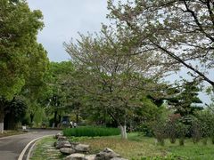 -堤角公园