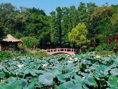 -广州莲花山旅游区
