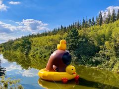 -黄海国家森林公园