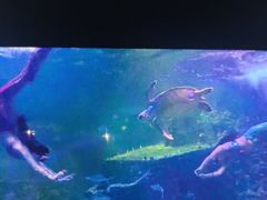 -嘉兴海底世界