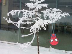 -太子岭滑雪场